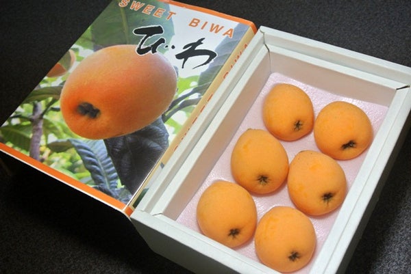 【千葉県内(銚子・茂原発着)発】 母の日ミステリーツアー2